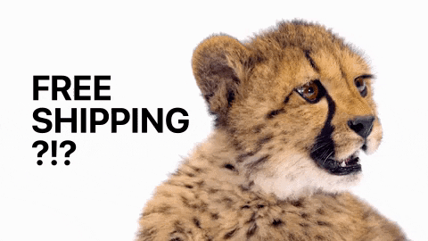 cheetah free shipping